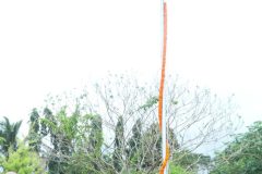 6E7A9266-scaled